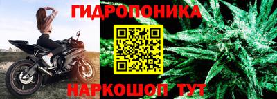 дмт Новодвинск