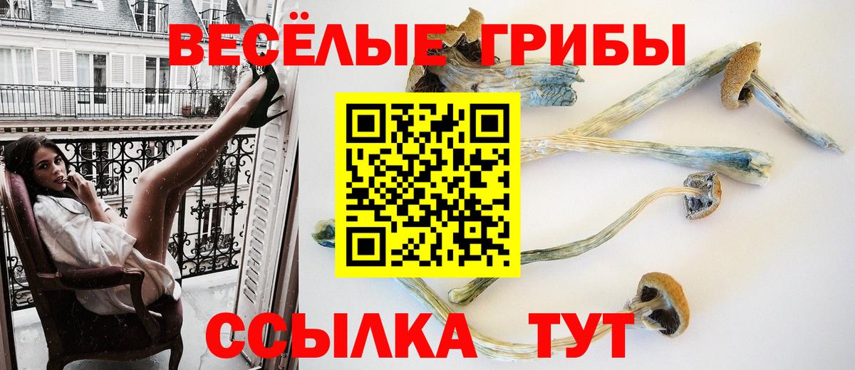 Псилоцибиновые грибы Cubensis Сосновоборск