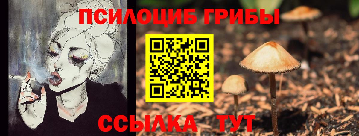 Сосновоборск  Псилоцибиновые грибы GOLDEN TEACHER  где купить наркоту  Вход с VPN 